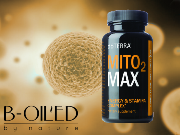 Mito2max