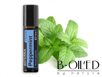 Peppermint10ml 0