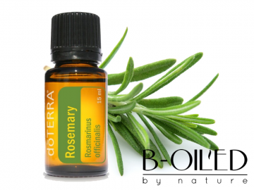 Rosemary