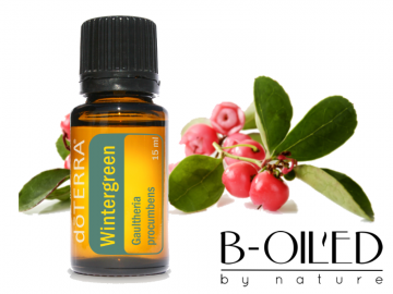 Wintergreen